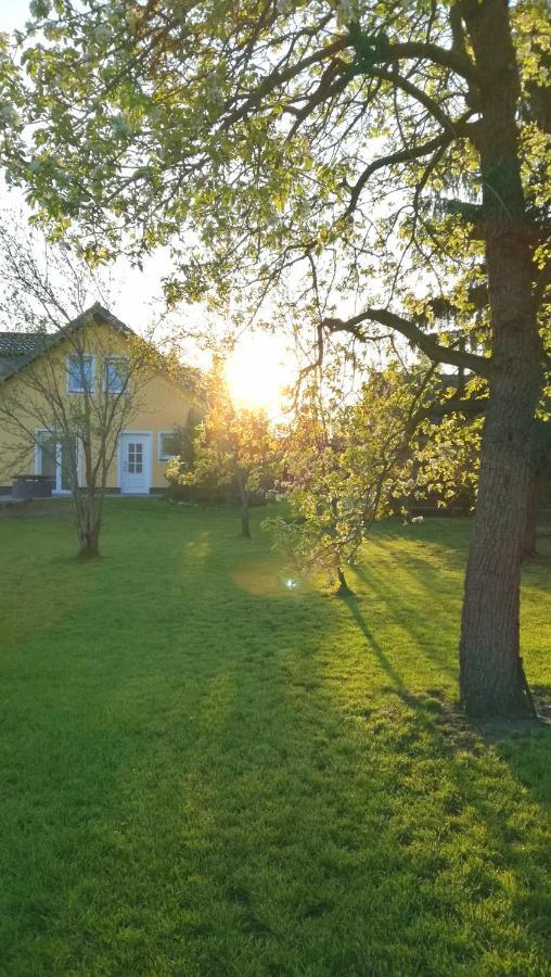 Ferienwohnung Luba Lipa Drachhausen Luaran gambar